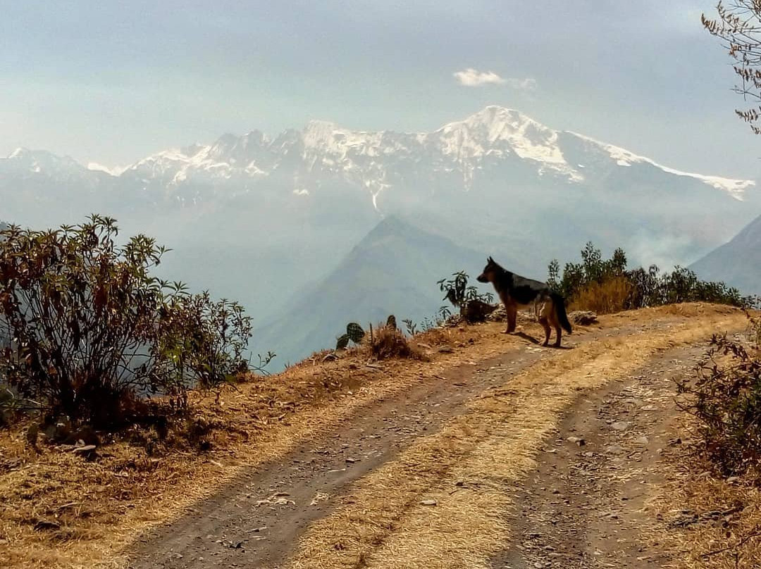 CasaNostra Choquequirao主图
