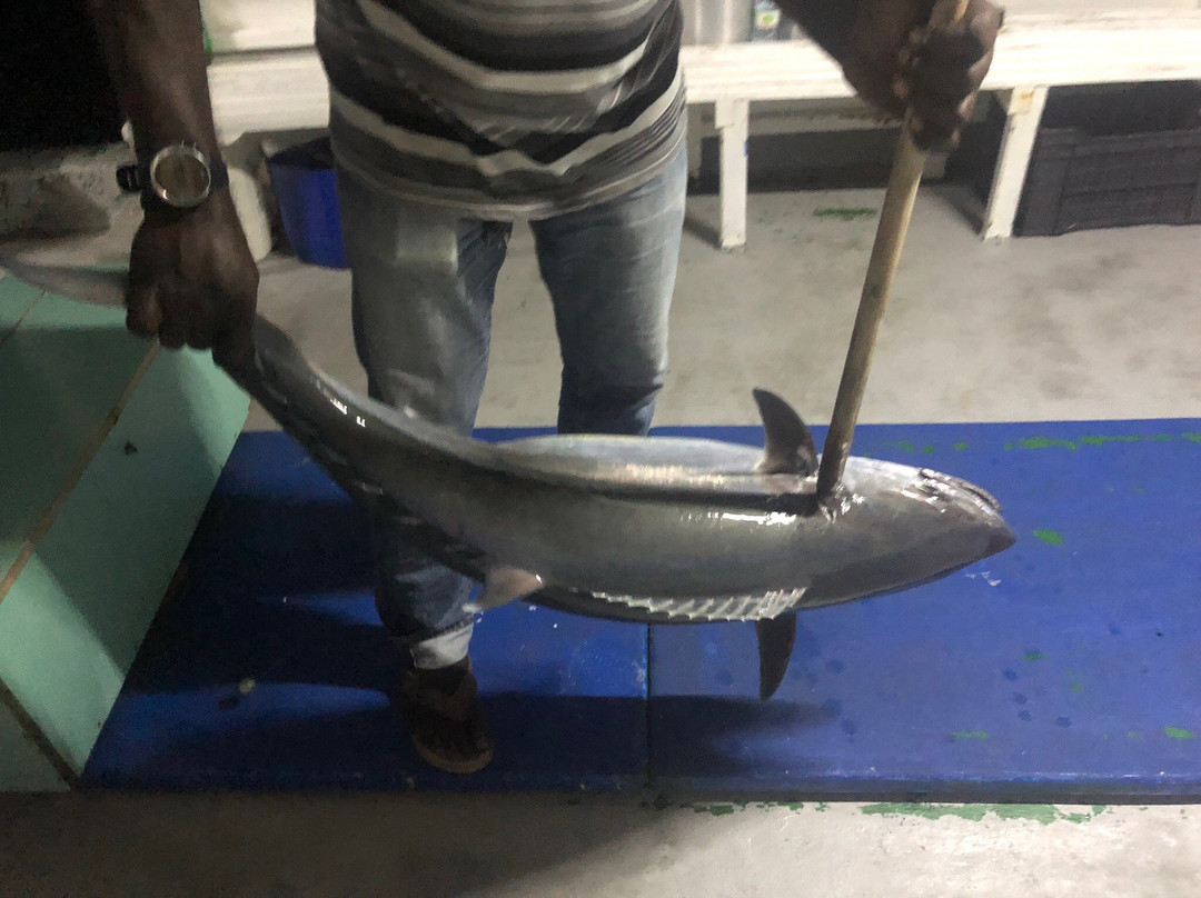 Ocean Junkies | Dive Centre-胡鲁马累必去景点