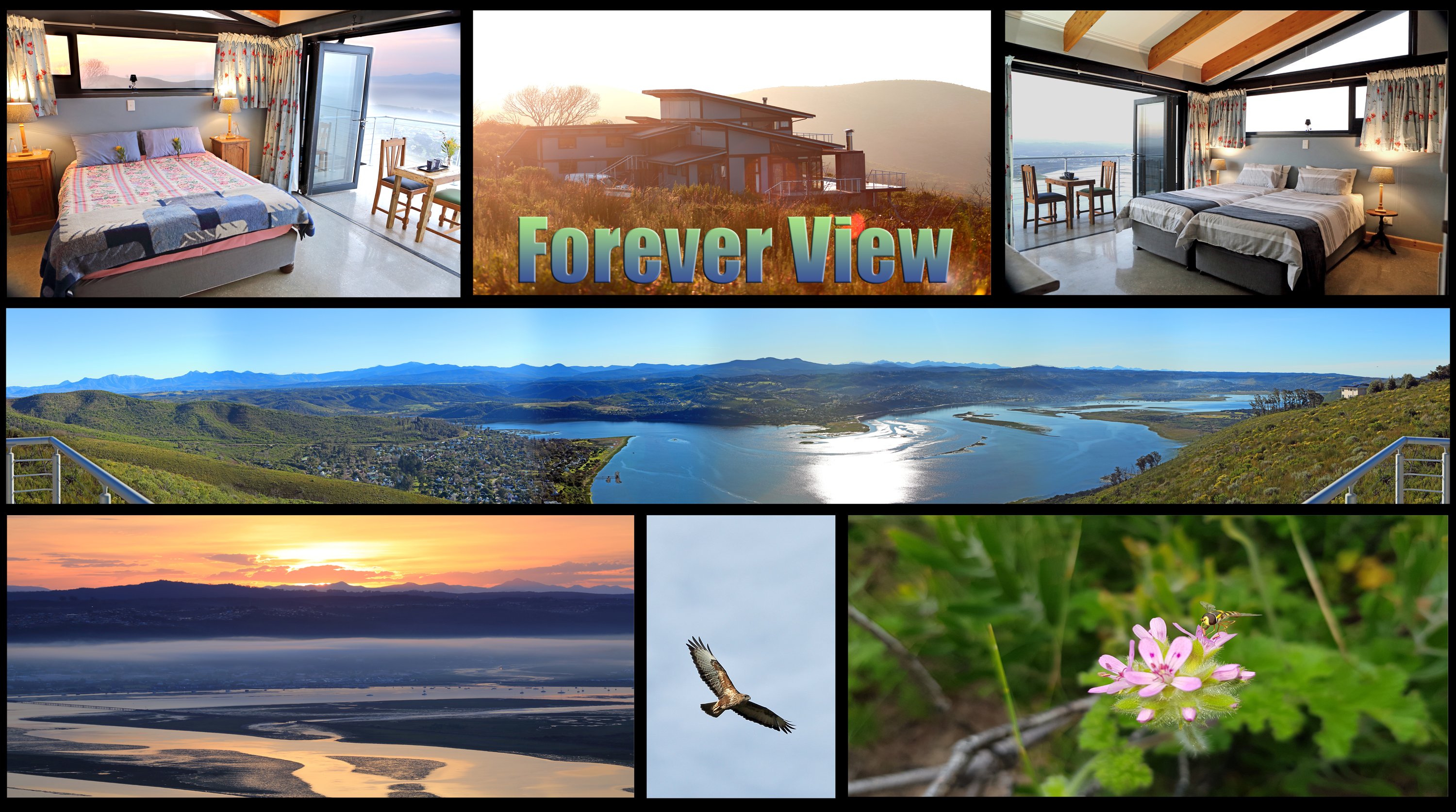 Forever View-官方