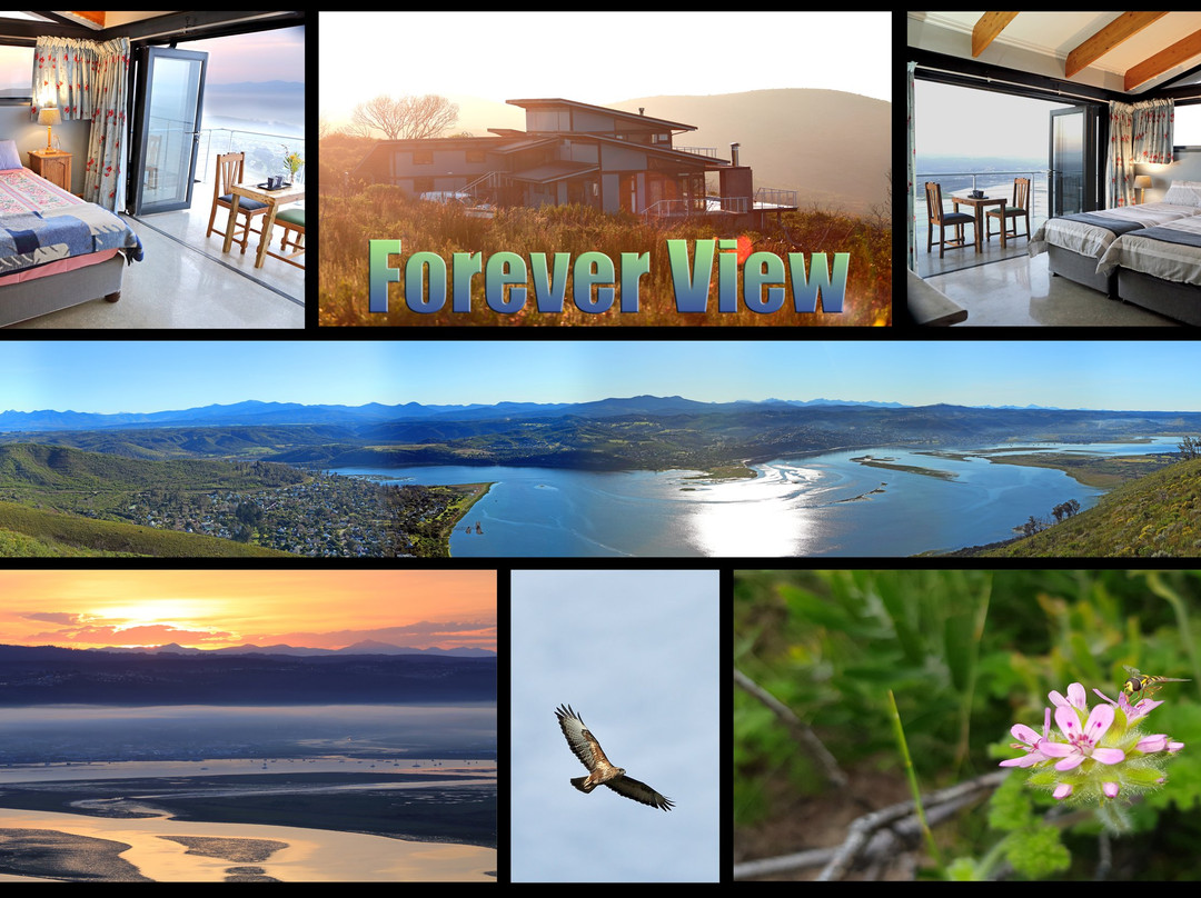 Buffalo Bay酒店住宿-Forever View