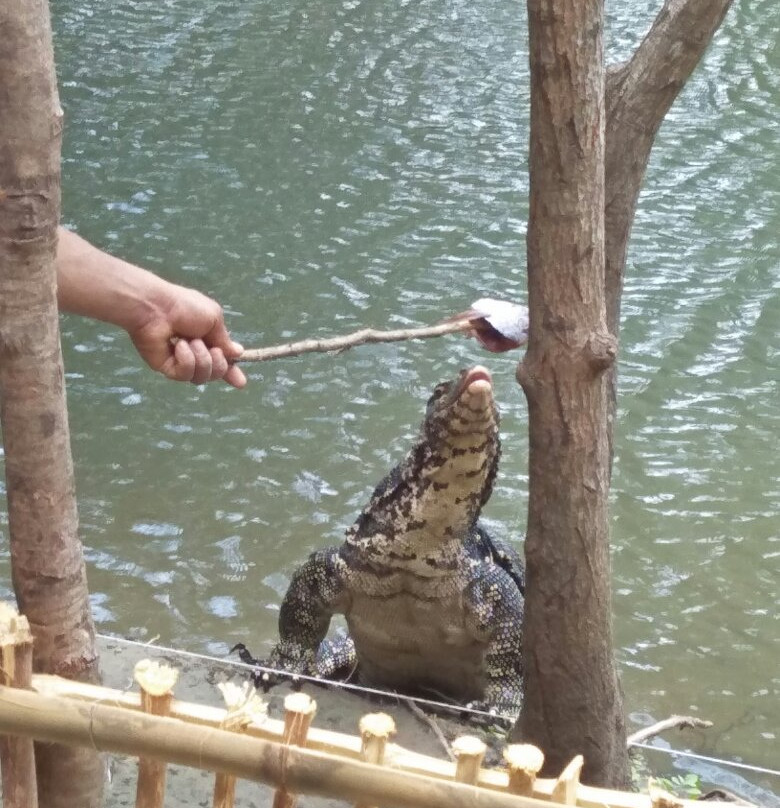 Misty Ella by rts-srilanka.com-埃勒必去景点