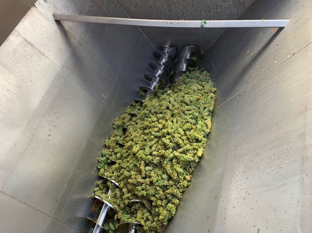 Bodegas Castaño-Yecla必去景点