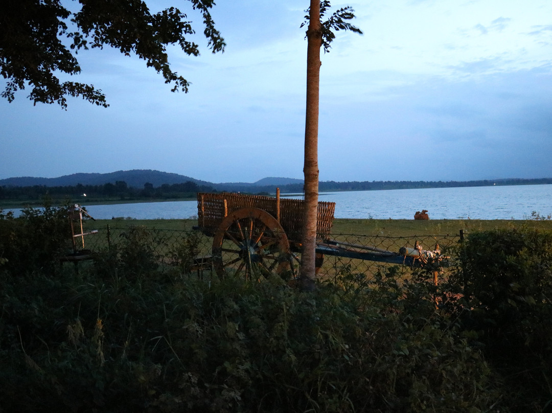 Evolve Back, Kabini主图