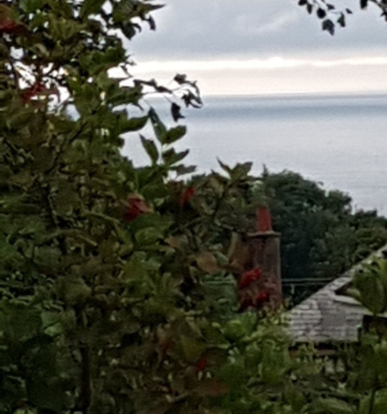 Chestnuts Bed & Breakfast主图