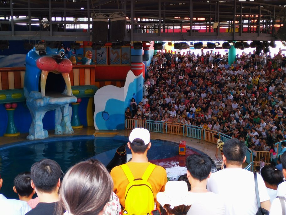 武汉极地海洋世界-武汉市必去景点