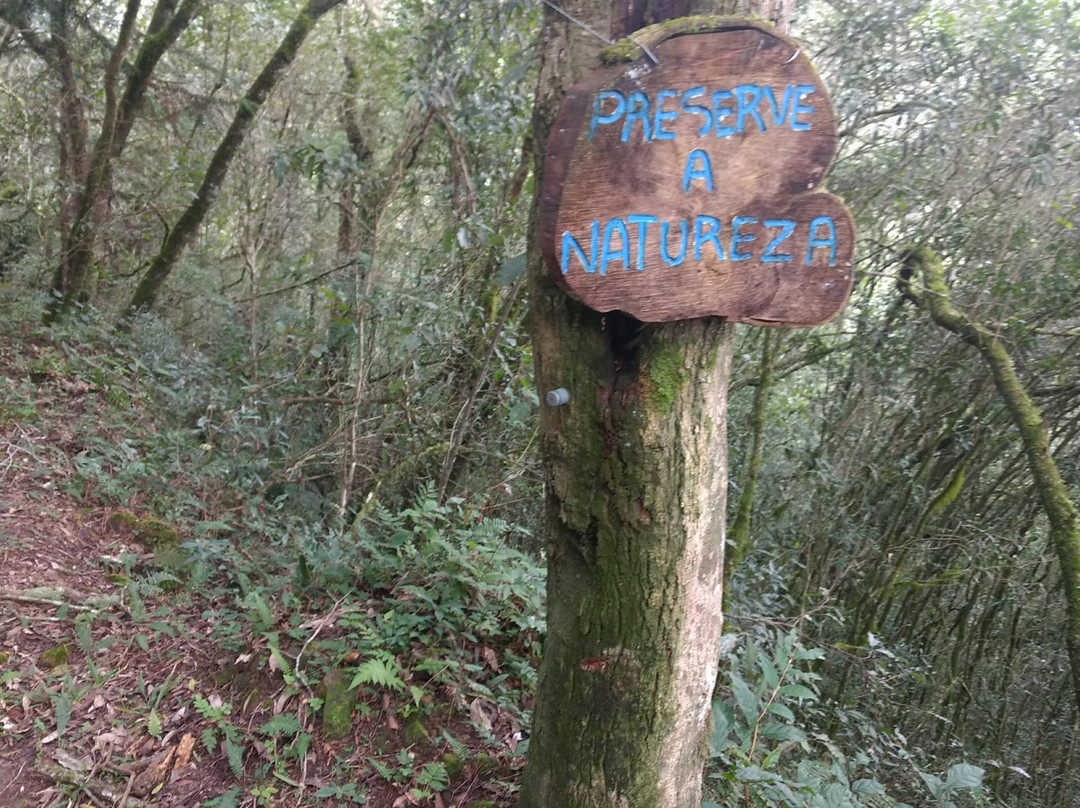 Perau De Janeiro-Arvorezinha必去景点