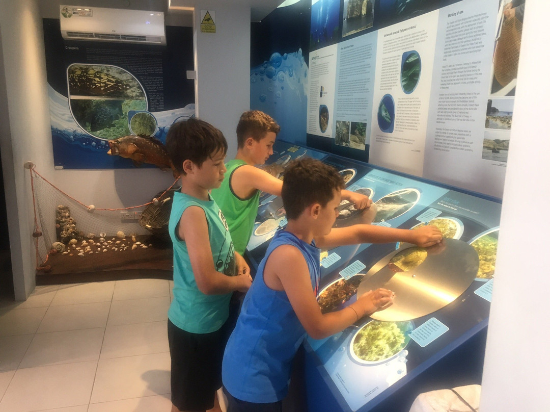 Dwejra Marine Environmental Education Centre-圣劳伦斯必去景点