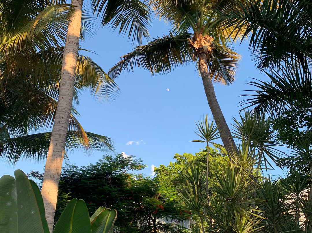 Club Seabourne Hotel主图