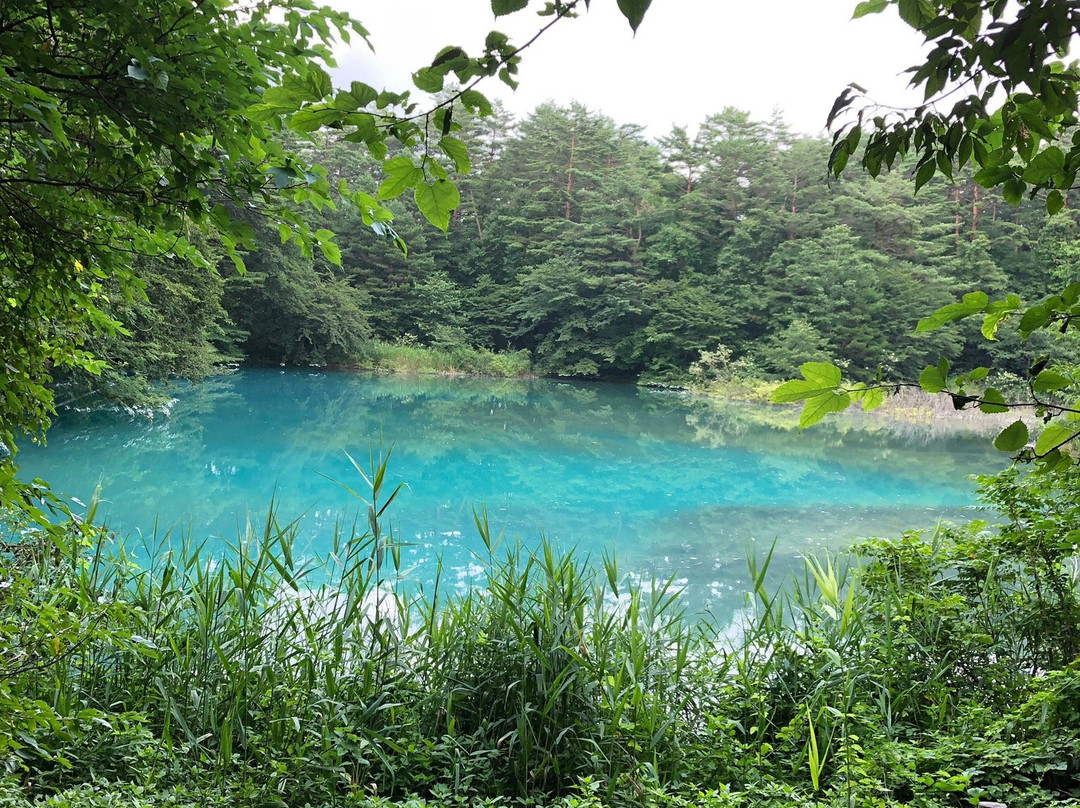 Aonuma-北盐原村必去景点