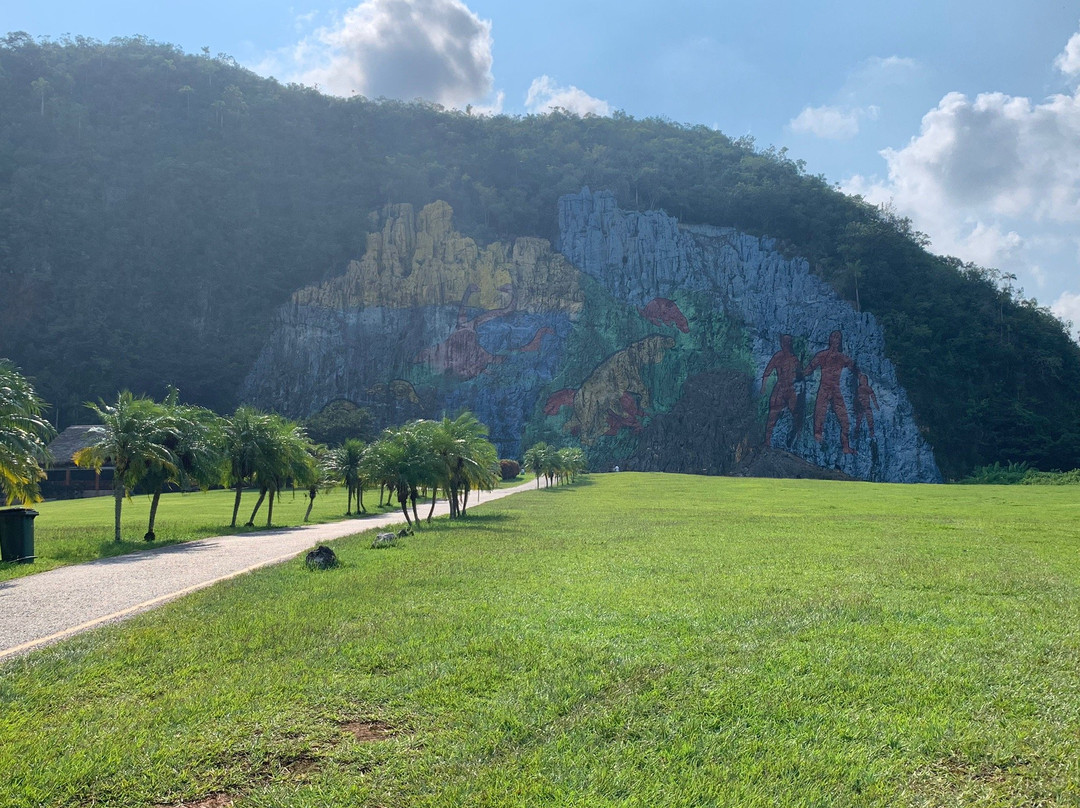 Casa Dra Alicia主图