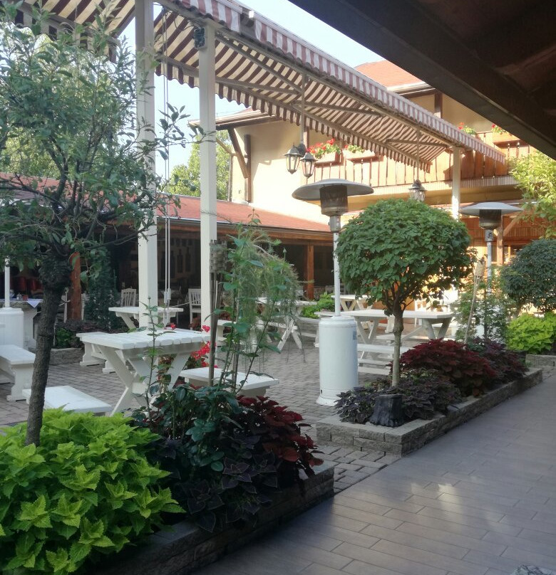 Boutique Hotel Szarcsa主图