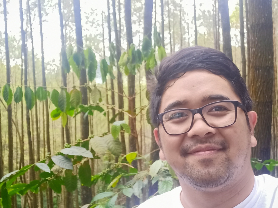 Moko Hill-万隆必去景点