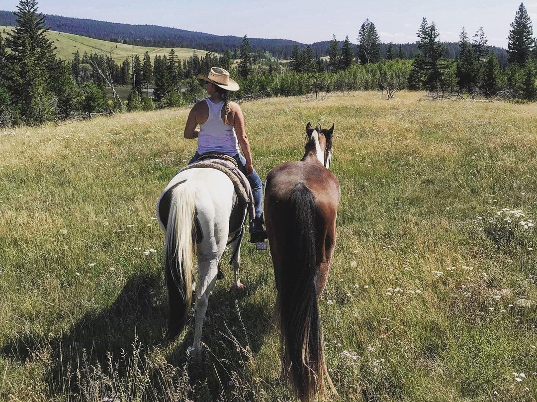 Tunkwa Provincial Park-Logan Lake必去景点