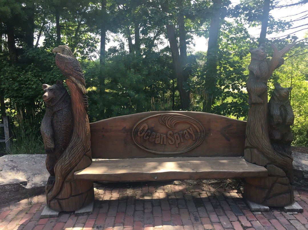 The Nature Trail And Cranberry Bog-福克斯伯勒必去景点