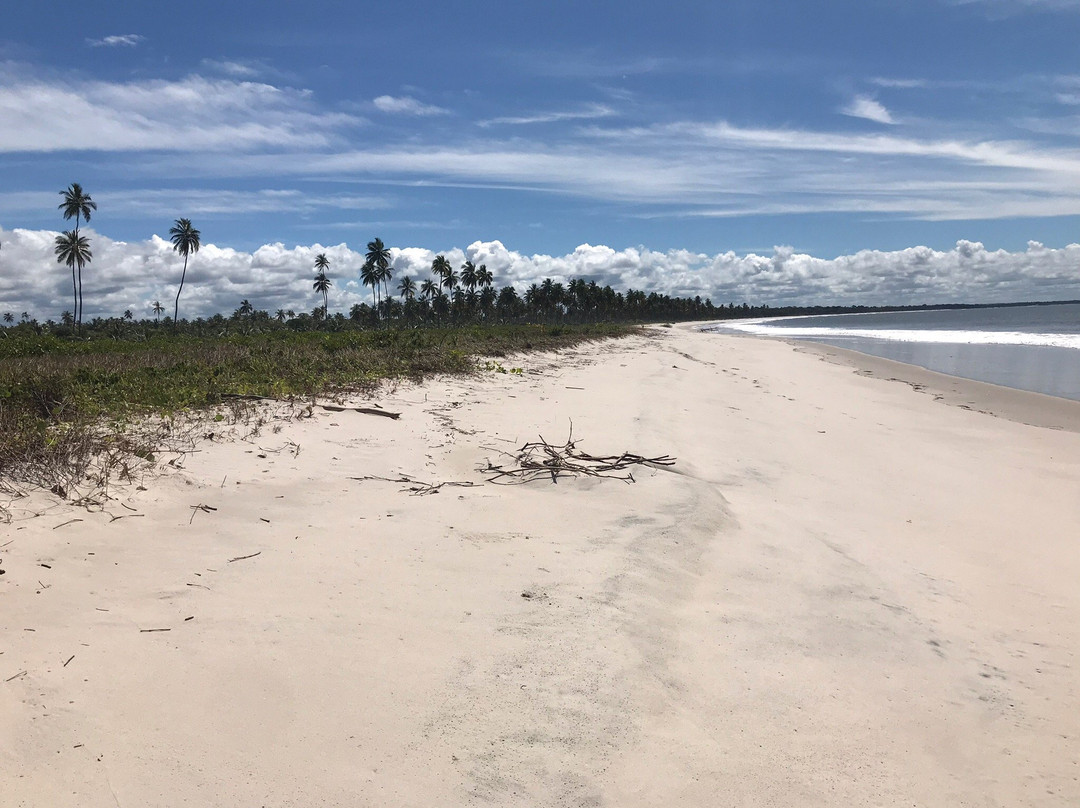 Ponta do Curral Beach-Valenca必去景点