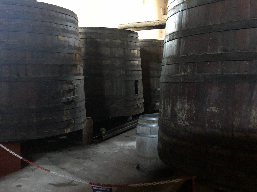 Antigua Bodega Giol-Maipu必去景点