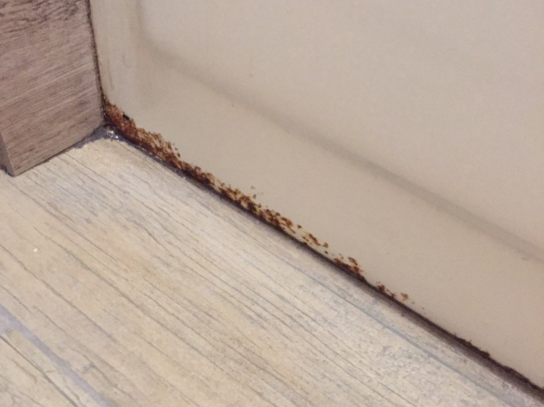 Best Western Apricot Inn主图