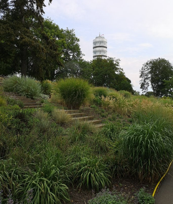 Marienberg-Brandenburg City必去景点