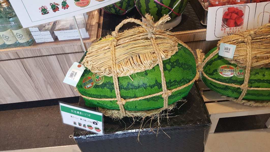 Oyabegawa Service Area Outbound-小矢部市必去景点