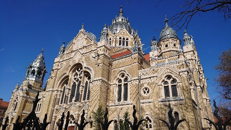 Szeged Synagogue景点图片