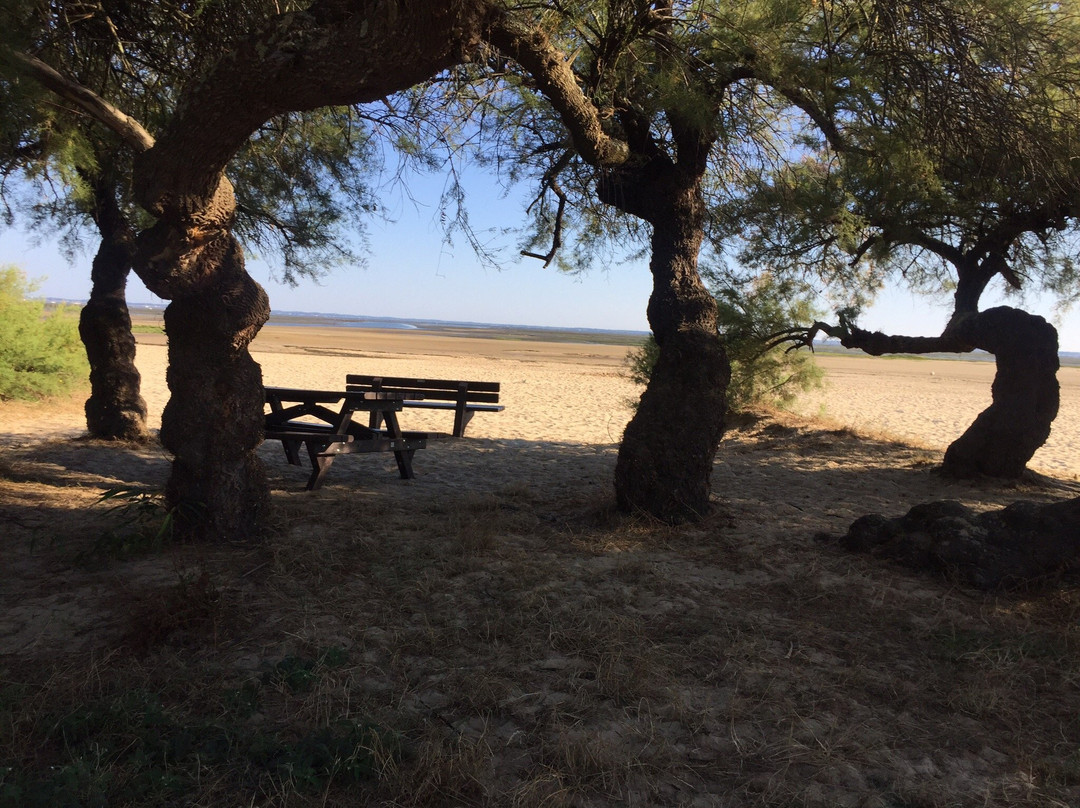 Plage De La Hume景点图片