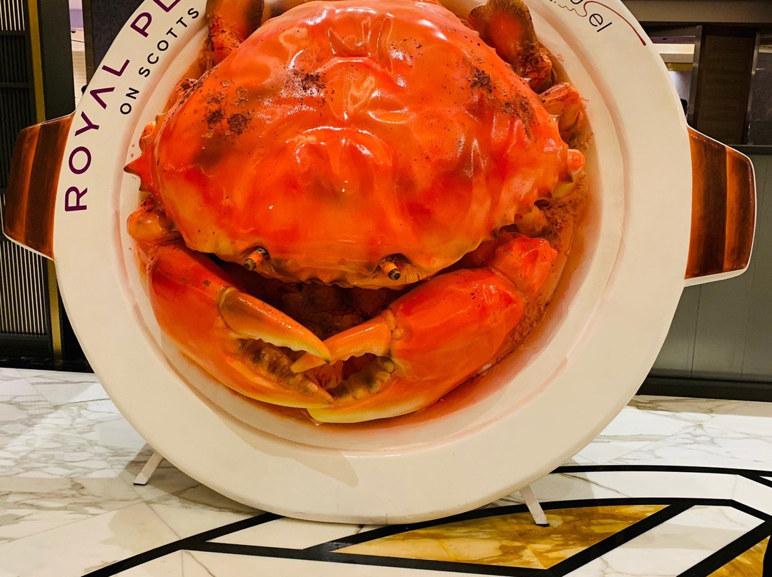 史各士皇族酒店主图