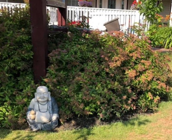 Driftwood Heights B & B主图