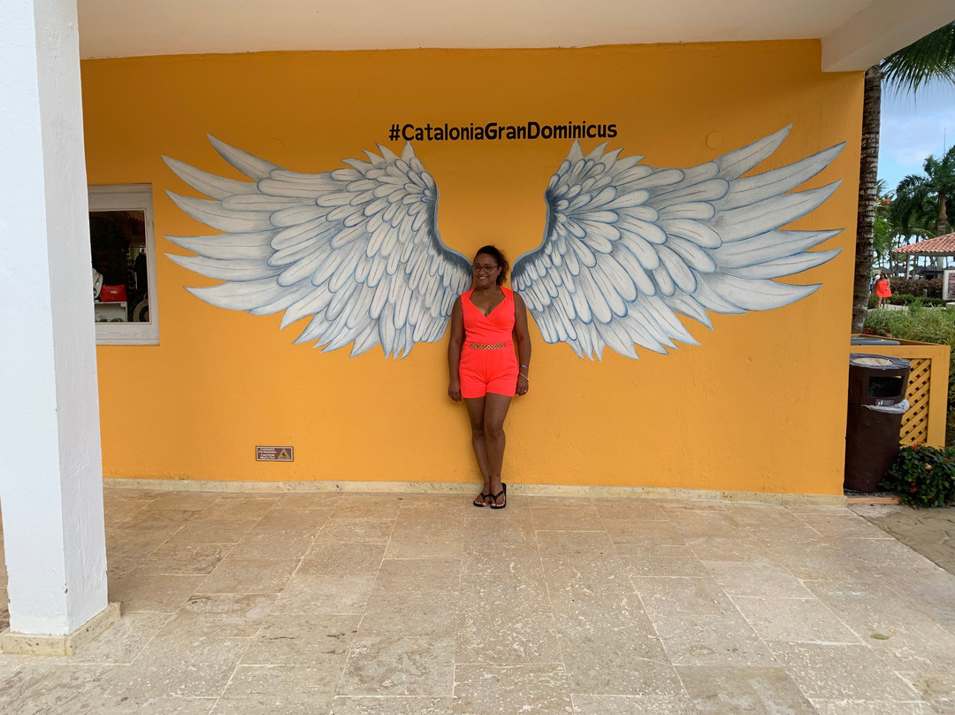 Catalonia Bayahibe主图