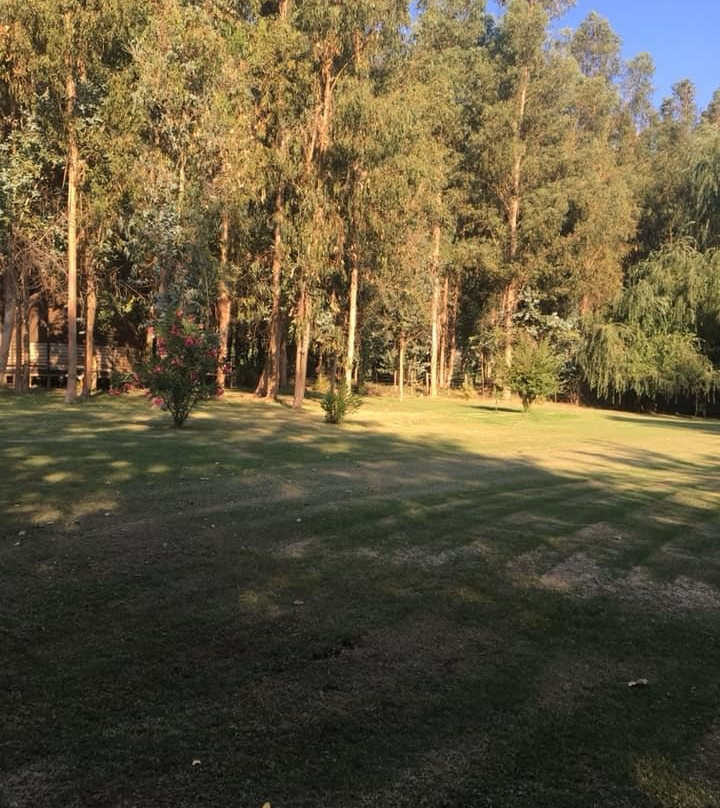 Parque Nacional Las Palmas de Cocalan-Las Cabras必去景点