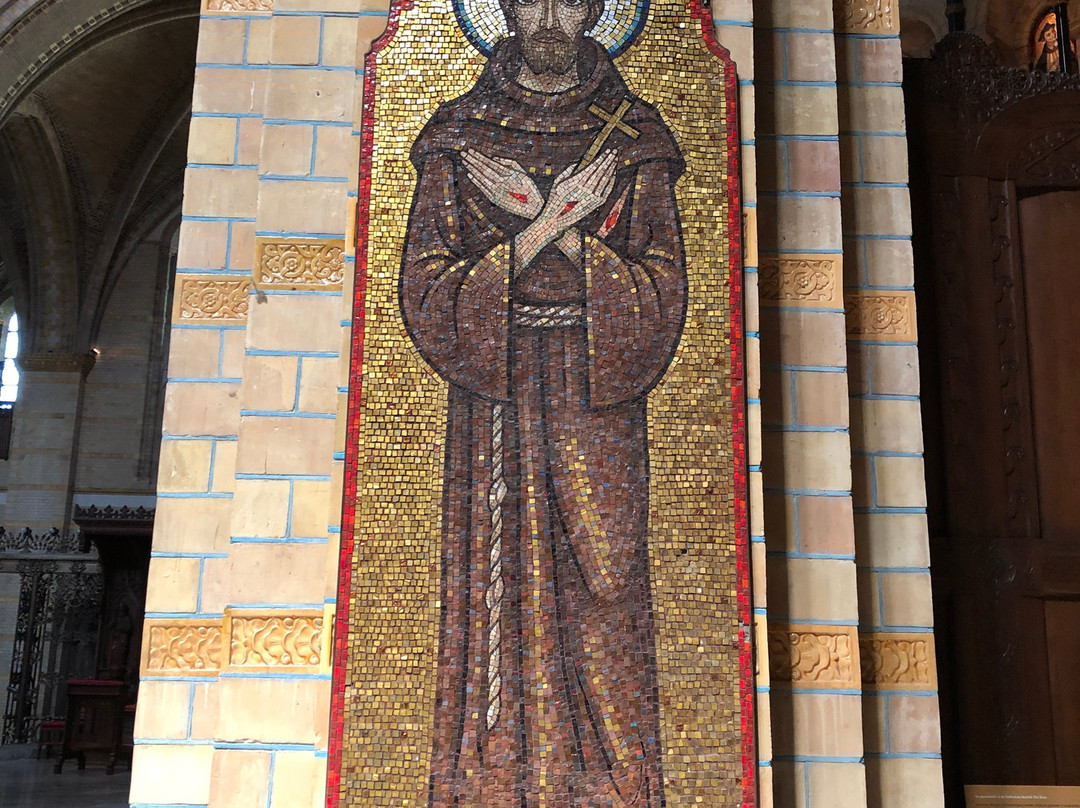 Saint Bavo of Ghent Catholic Cathedral-哈勒姆必去景点