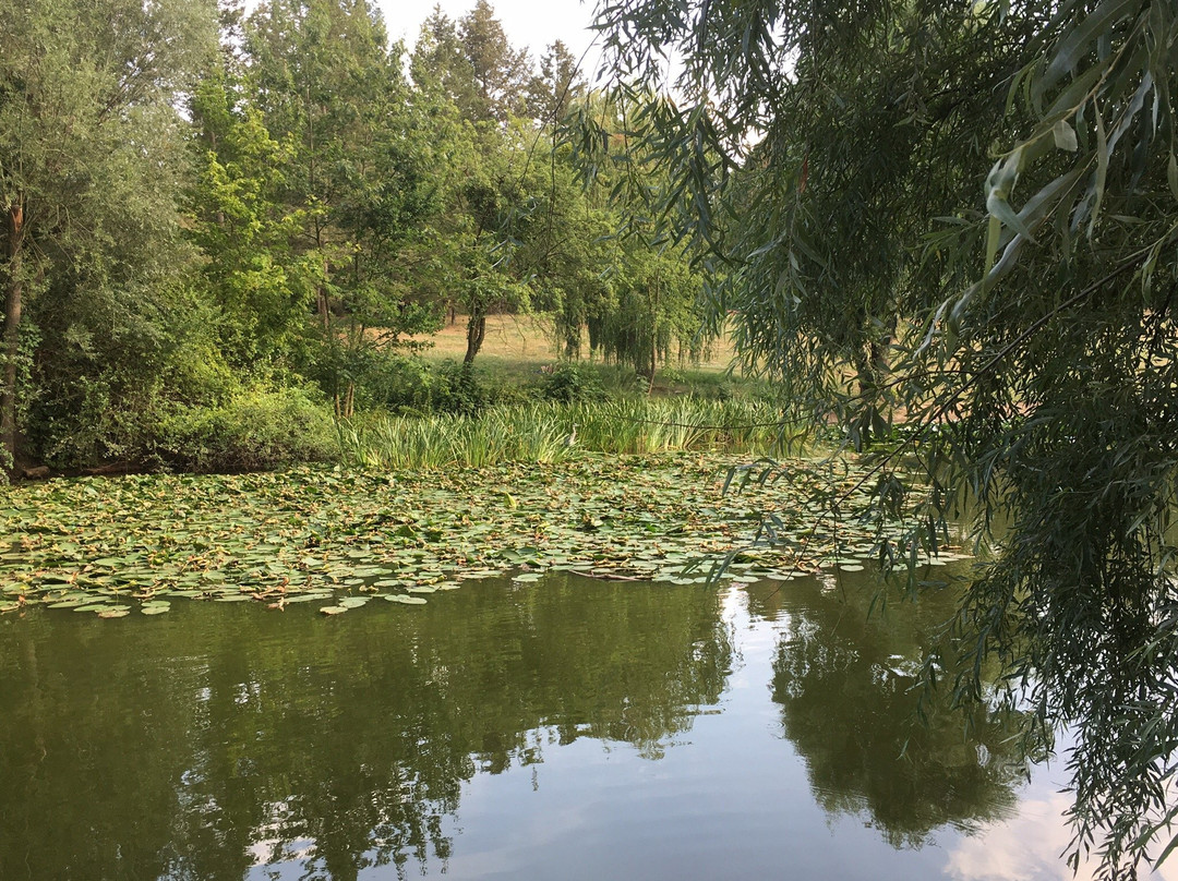 Fischtalpark景点图片