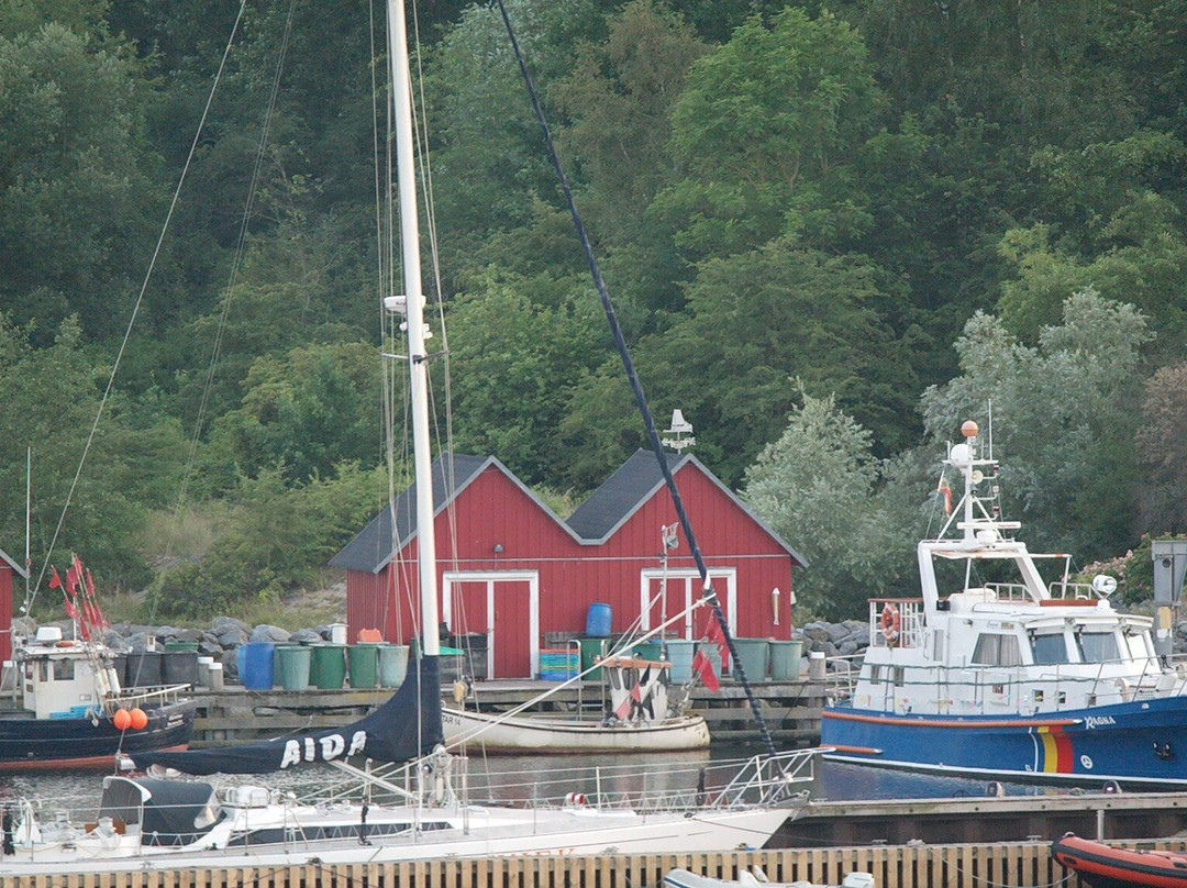 Fischereihafen Boltenhagen景点图片