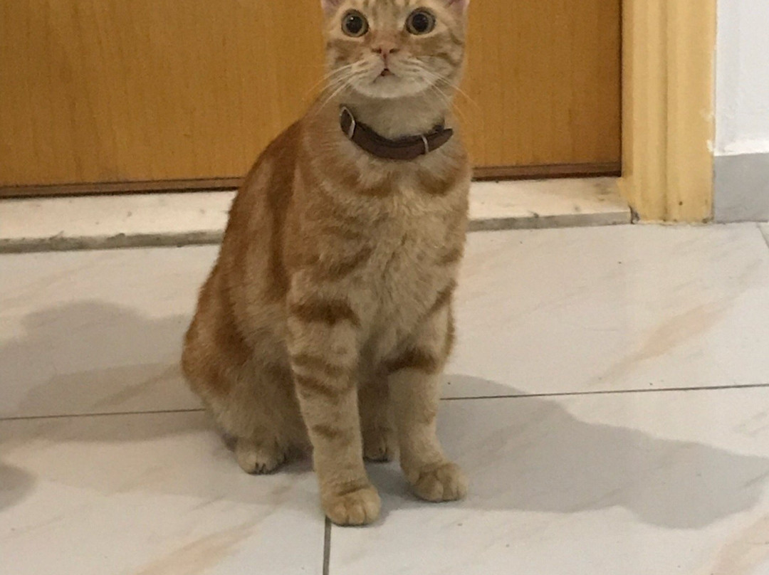 Afandou Sky Hotel主图