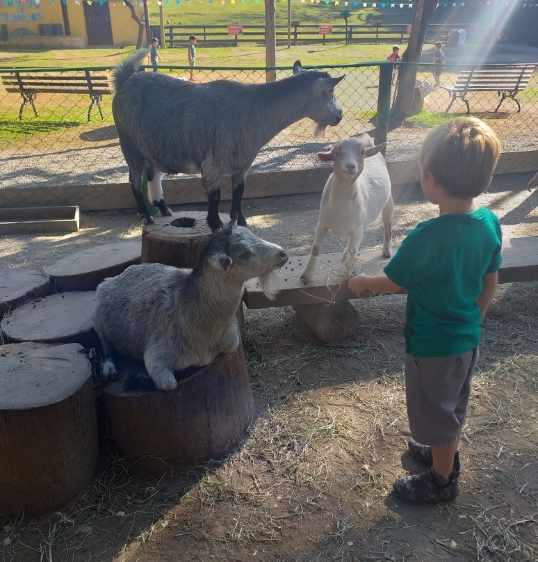 Cia dos Bichos-Cotia必去景点