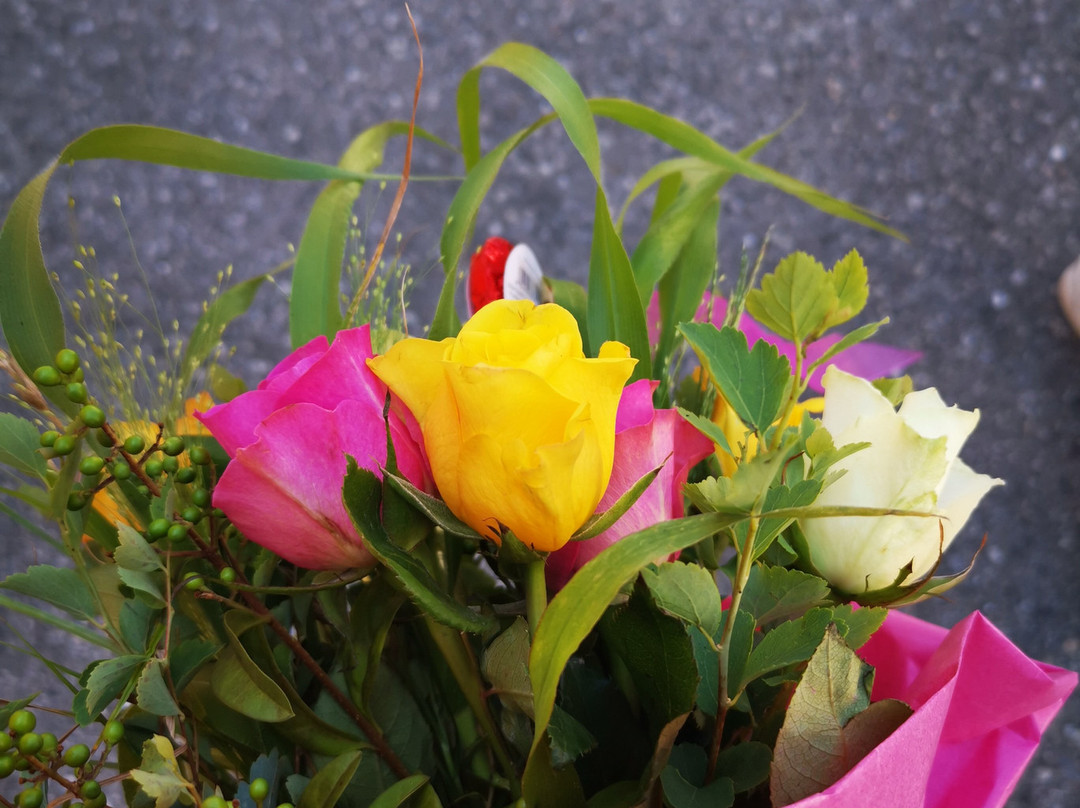 Gasthof Grebmer主图