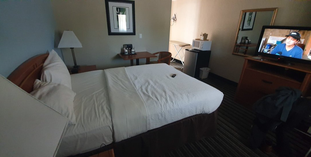 帕尔马尼酒店主图