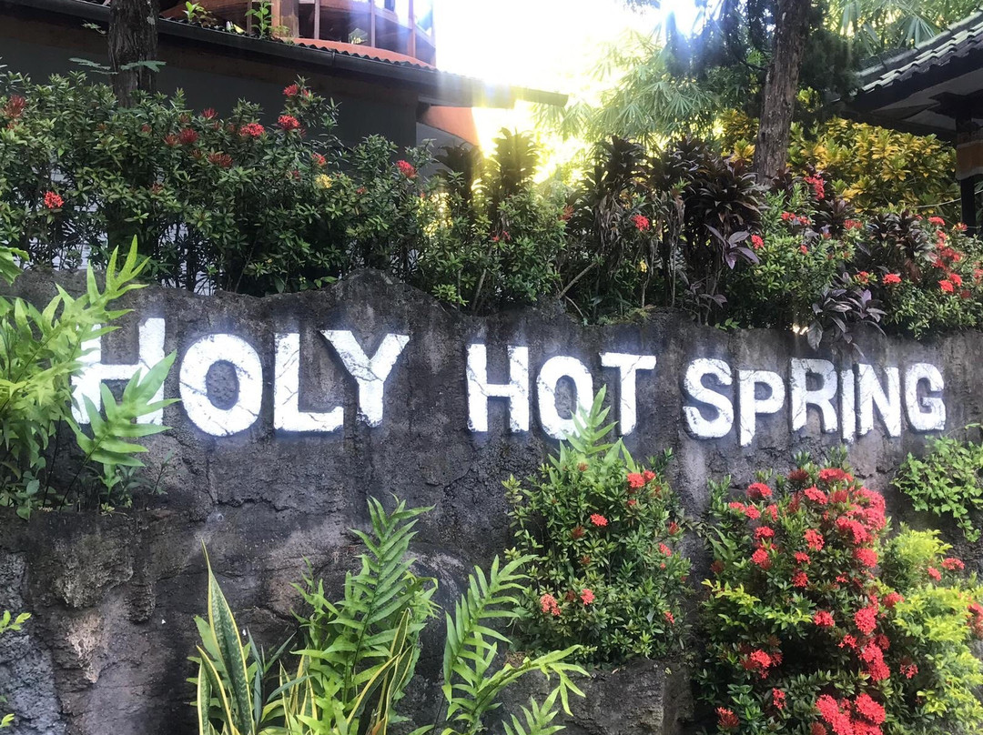 彭杜克旅游格亚纱丽酒店主图