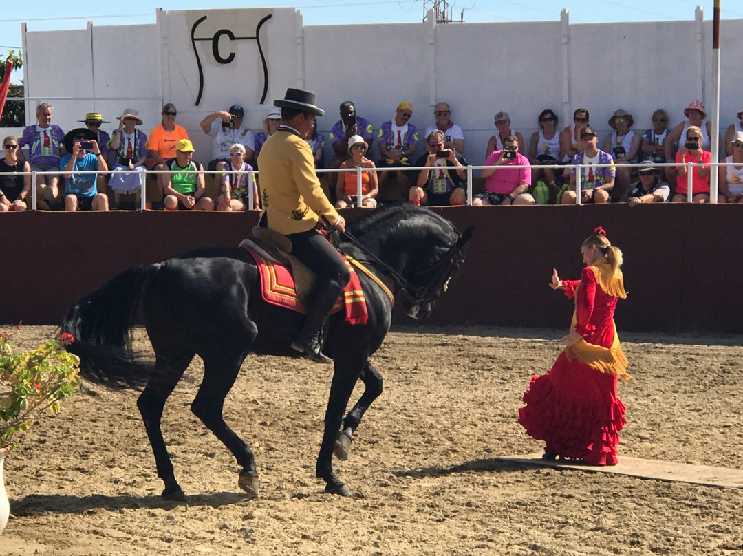 El Cartujano-米哈斯必去景点