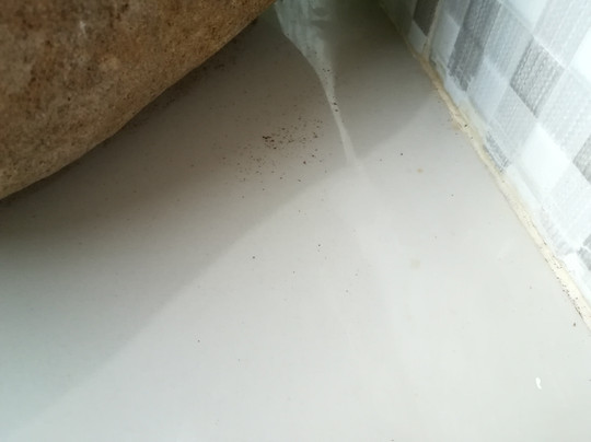 The Dafish Ceningan主图