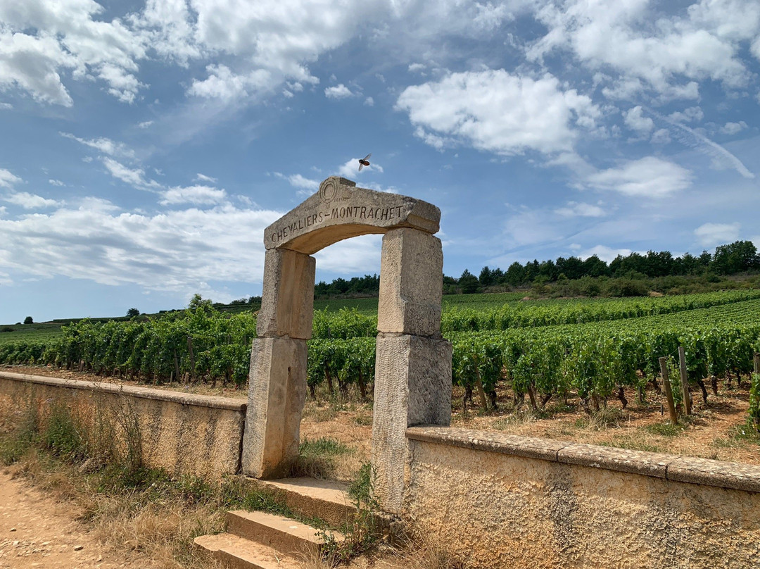 A La Francaise ! Bourgogne景点图片