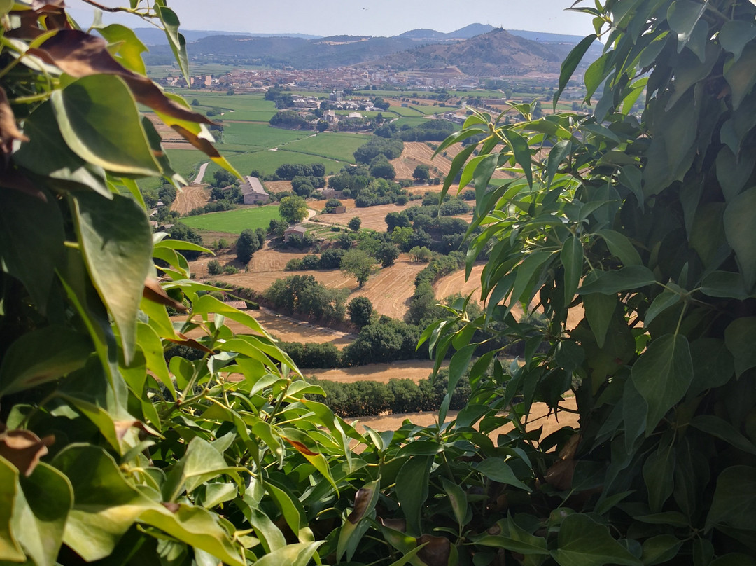 Montsonis Medieval Resort主图