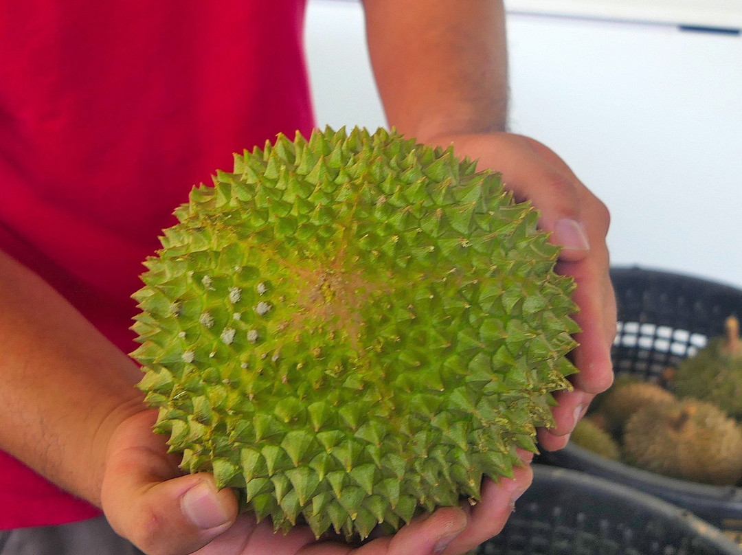 Bentong Gallery-文冬必去景点