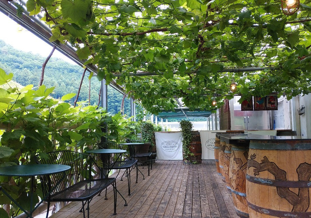 COCO FARM & WINERY-足利市必去景点