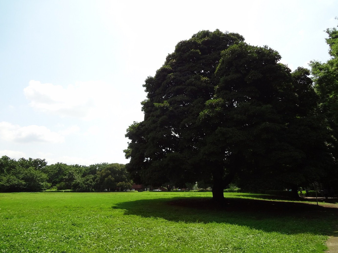 Shimin no Mori-埼玉市必去景点