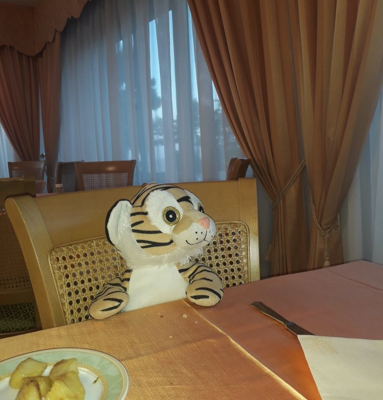 Hotel La Pergoletta主图