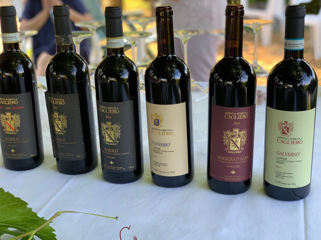Cagliero Vini