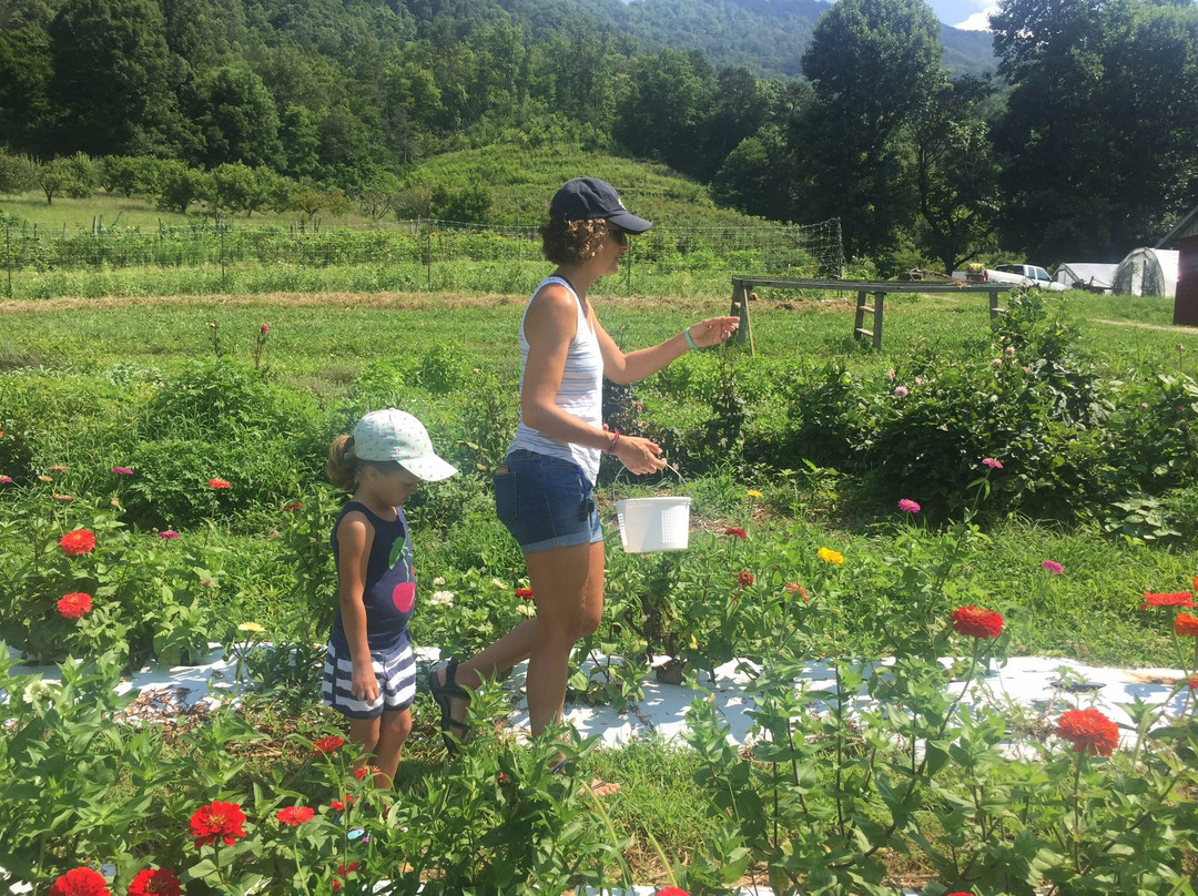 Stoney Hollow Farm-罗宾斯维尔必去景点