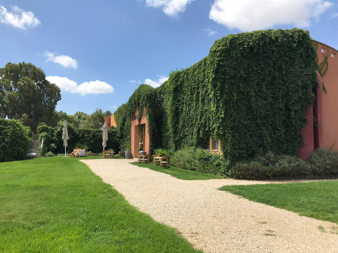 Chateau Golan Winery-戈兰高地必去景点