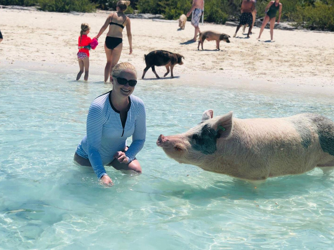 Charter Me Bahamas-拿骚必去景点