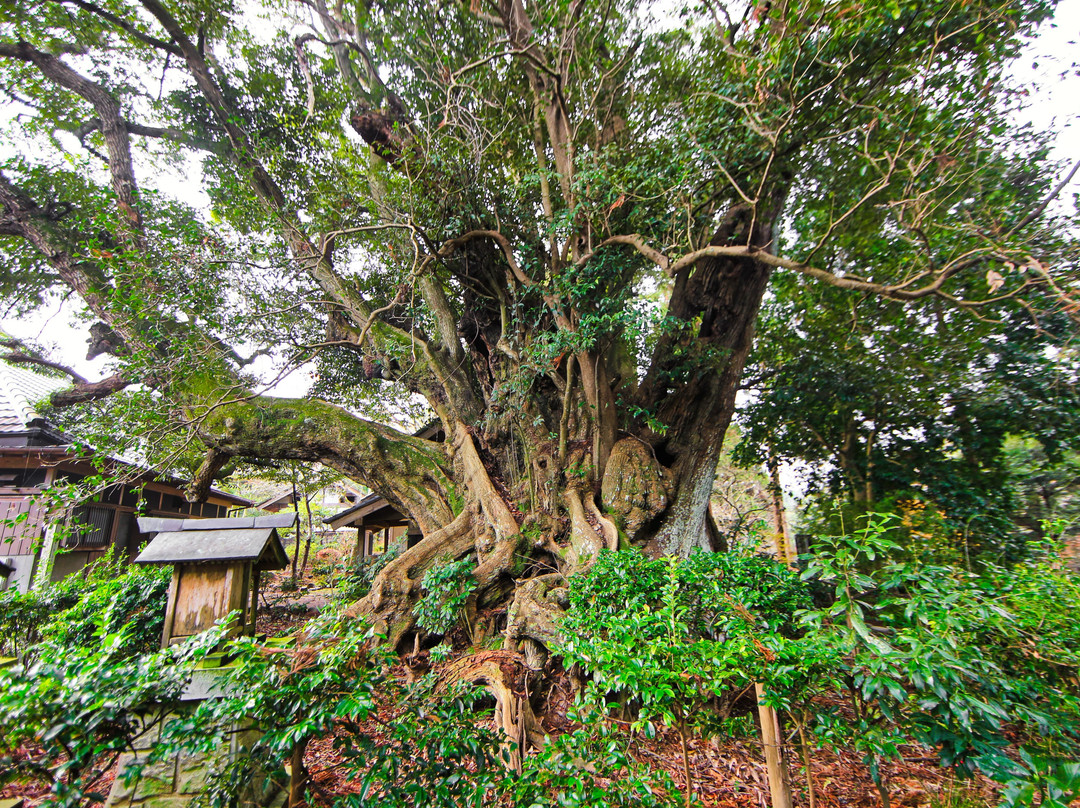 Aguyama no Sudaji-匝瑳市必去景点
